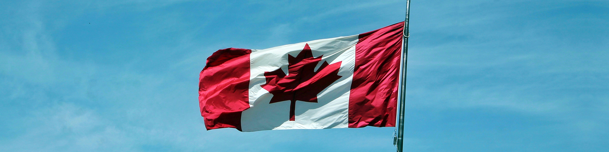 Amendment Proposes Flavor Ban in Canada