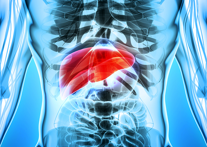 How long does CBD stay in your system - 1