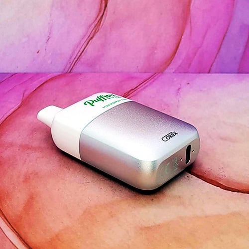 Puffmi MeshBox 5500 Disposables - 10