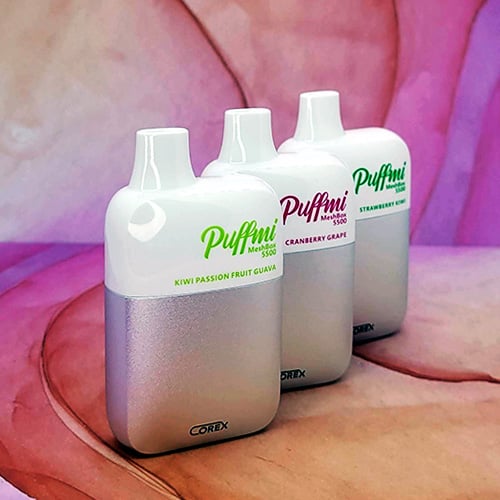 Puffmi MeshBox 5500 Disposables - 2