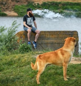 Vaping Around Pets 1