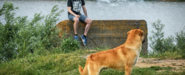 Vaping Around Pets 1