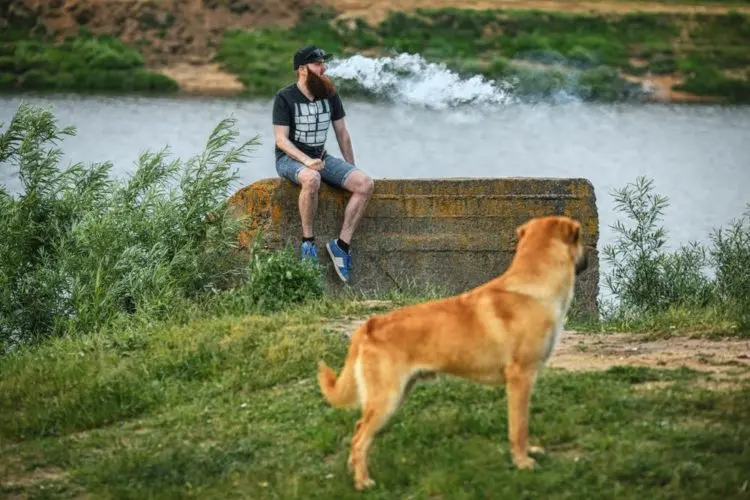 Vaping Around Pets 1