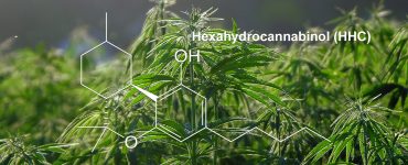 What is HHC Main Banner