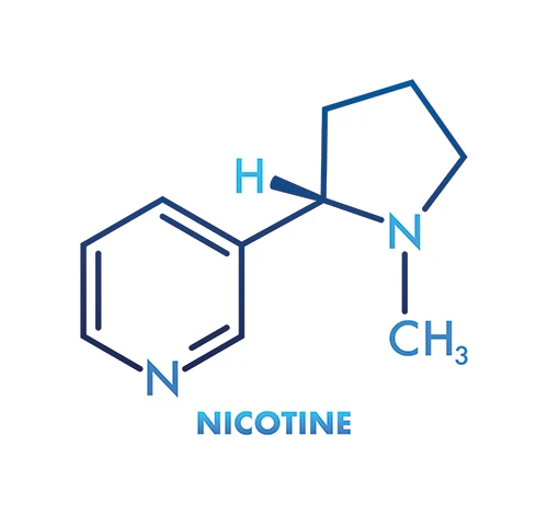 What Is Nicotine?