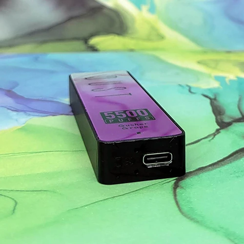 Dust 5500 Disposables - 11