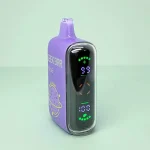 GEEK BAR PULSE Disposables - 13