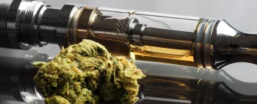 How Much Do THC, CBD, and Other Vape Carts Cost Cover Image