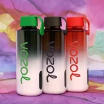 VOZOL NEON 10000 - 1