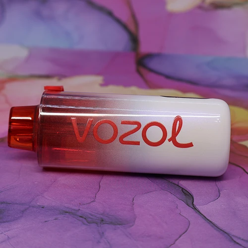 VOZOL NEON 10000 - 12 VOZOL NEON 10000 - 12