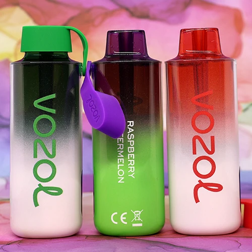 VOZOL NEON 10000 - 15