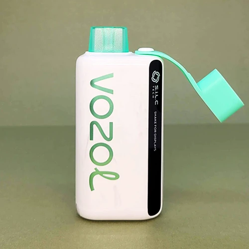 VOZOL Star 9000 DIsposables - 4 VOZOL Star 9000 DIsposables - 4