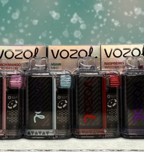 VOZOL VISTA 16000 Review Main Banner