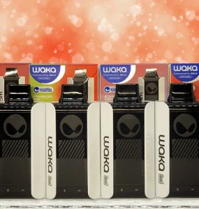 WAKA SoPro PA10000 Review Main Banner