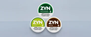 ZYN Tobacco-Free Nicotine Pouches Review Cover Image